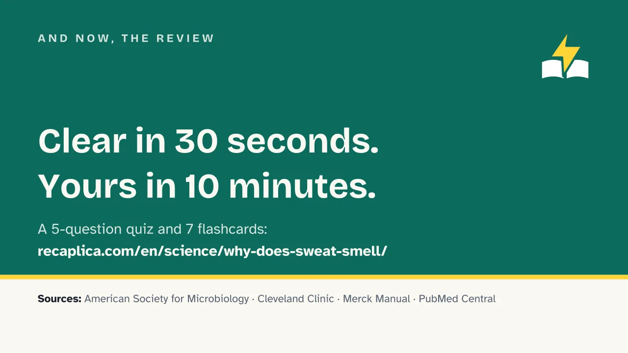 Slide 18 of the presentation on Why Does Sweat Smell? The Real Cause Isn't the Sweat: And now, the review