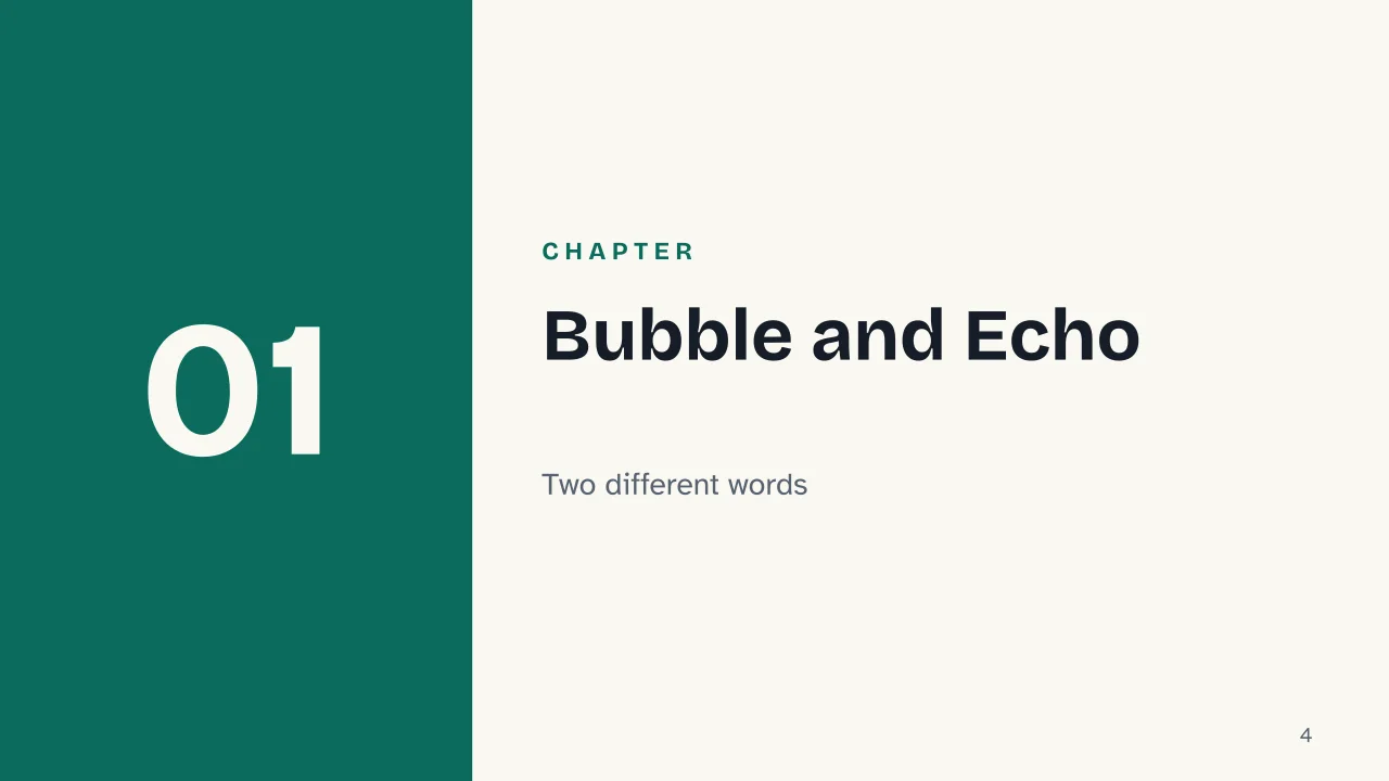 Slide 4 of the presentation on Echo Chamber: Chapter 01: Bubble and Echo