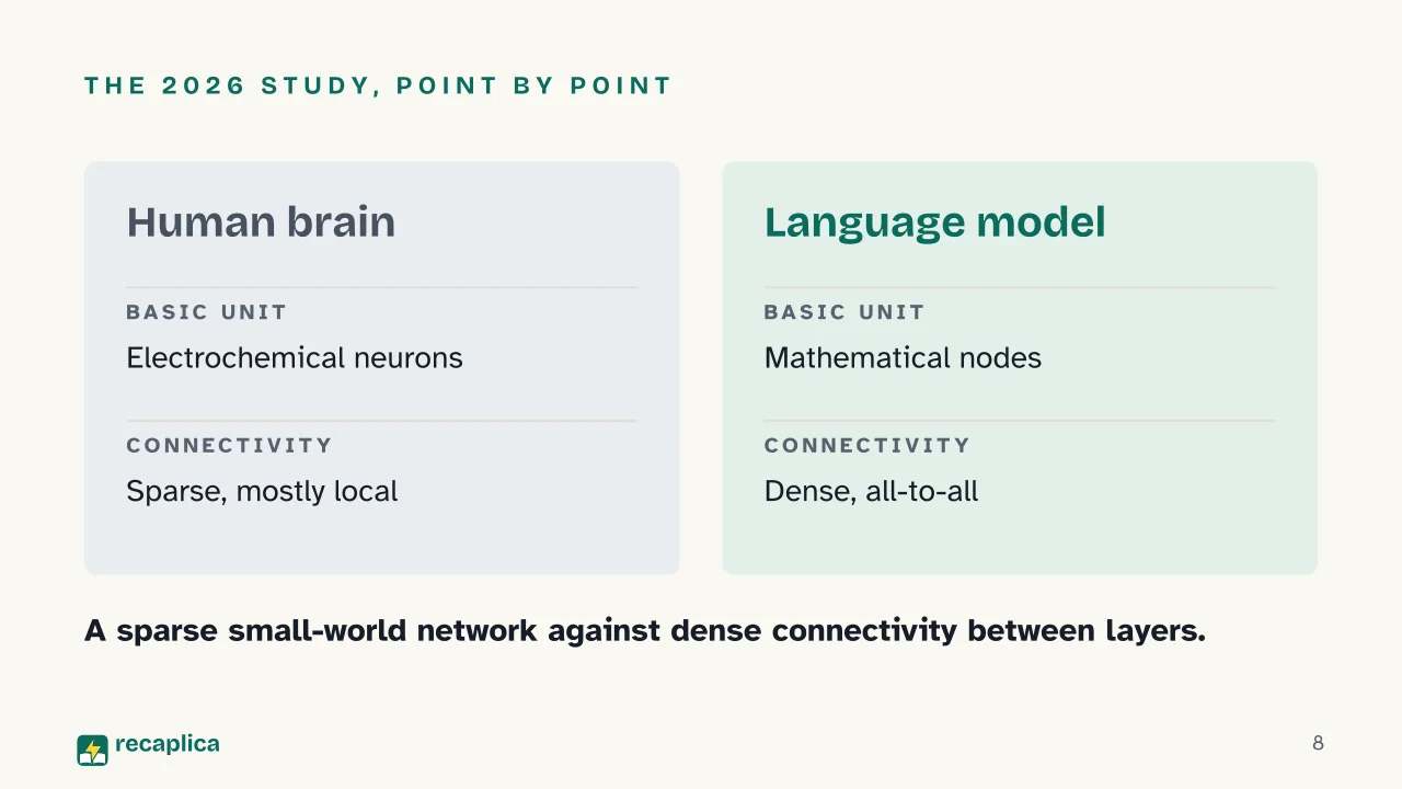Slide 8 of the presentation on Human Cognition vs. AI: The 2026 study, point by point