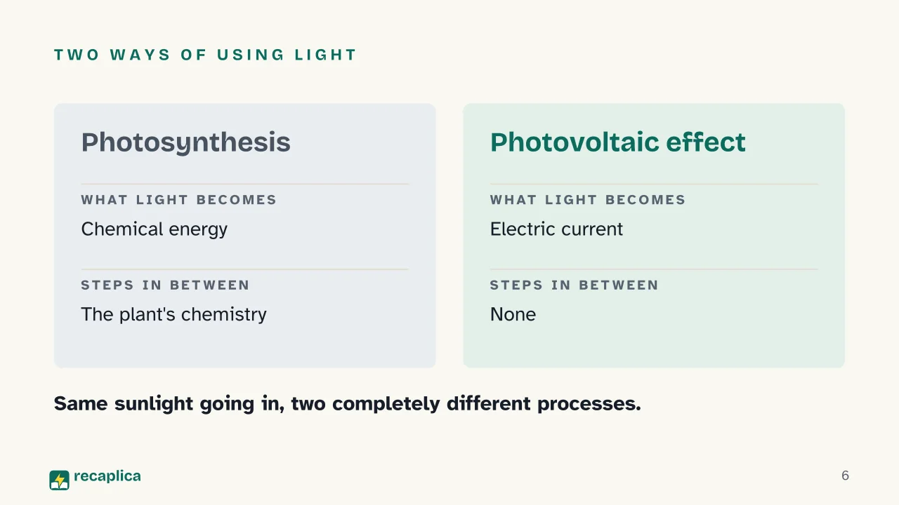 Slide 6 of the presentation on Solar panel systems: Two ways of using light