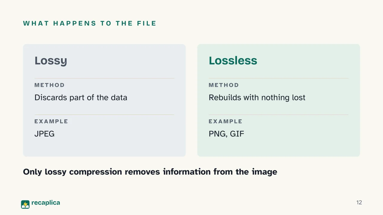 Slide 12 of the presentation on Vector vs Raster Images: What happens to the file