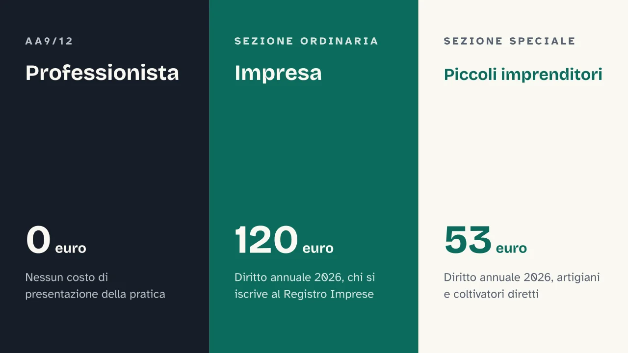 Slide 13 della presentazione su Come aprire una Partita IVA in regime forfettario: Professionista · Impresa · Piccoli imprenditori