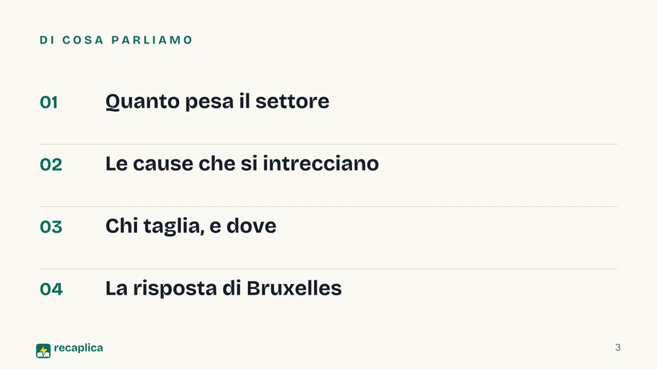 Slide 3 della presentazione su La crisi dell'industria automobilistica europea: Di cosa parliamo