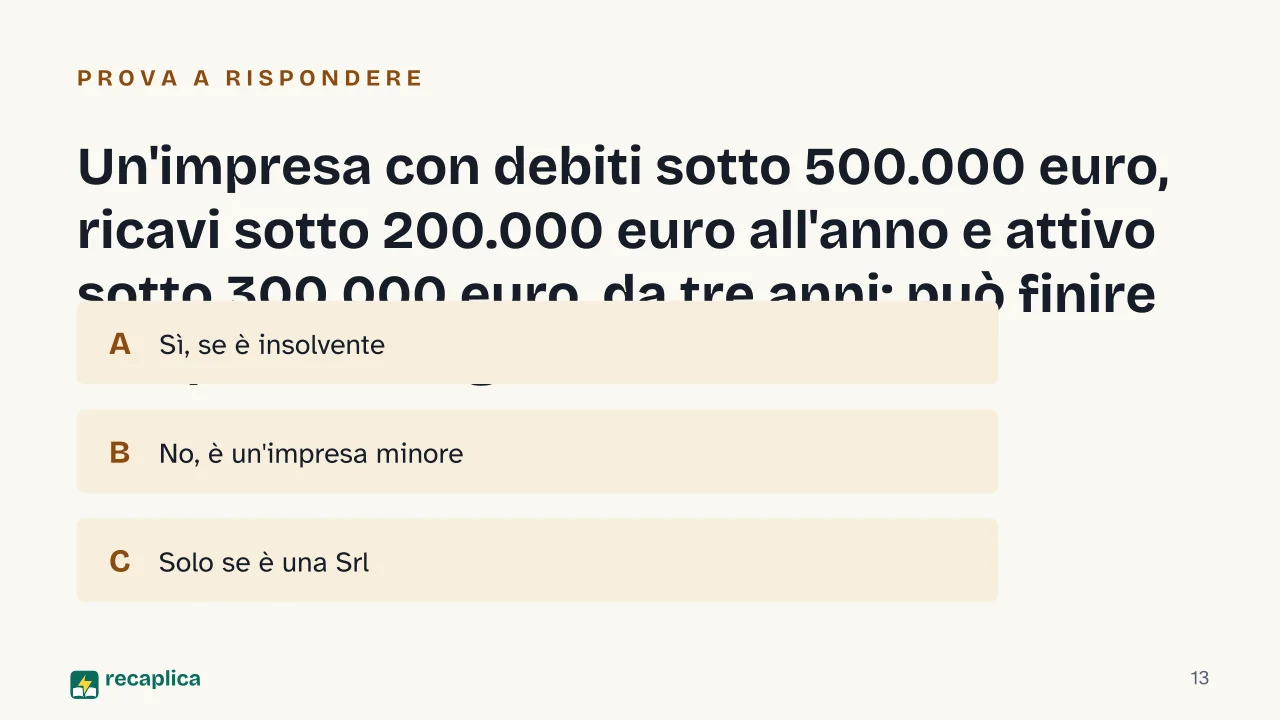 Slide 13 della presentazione su Liquidazione giudiziale: Un'impresa con debiti sotto 500.000 euro, ricavi sotto 200.000 euro all'anno e attivo sotto 300.000 euro, da tre anni: può finire in liquidazione giudiziale?