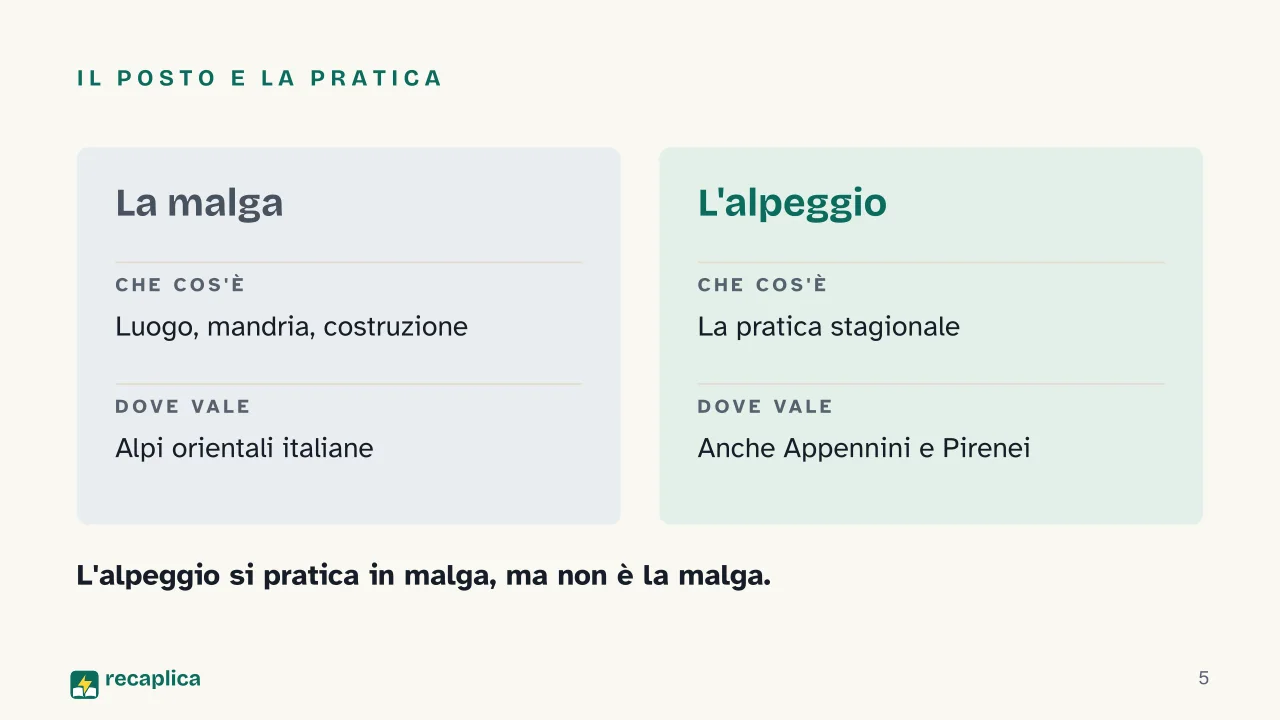 Slide 5 della presentazione su Malghe di montagna: Il posto e la pratica