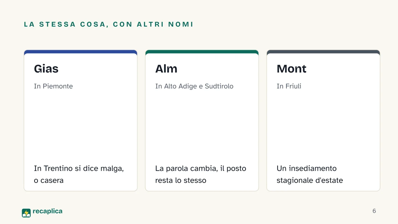 Slide 6 della presentazione su Malghe di montagna: La stessa cosa, con altri nomi: Gias, Alm, Mont