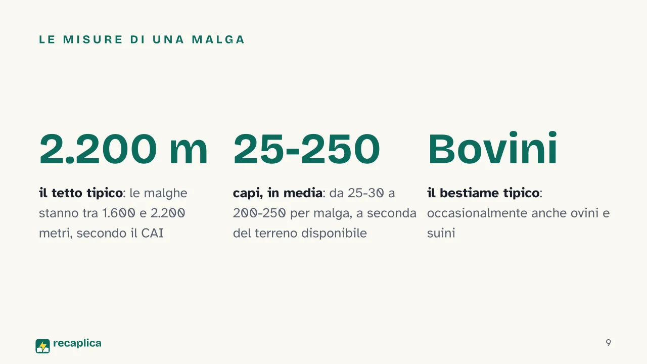 Slide 9 della presentazione su Malghe di montagna: Le misure di una malga
