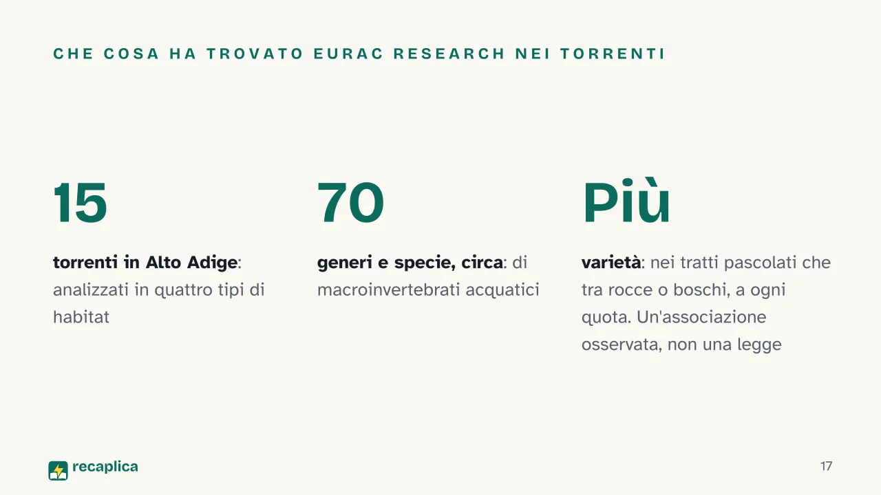 Slide 17 della presentazione su Malghe di montagna: Che cosa ha trovato Eurac Research nei torrenti