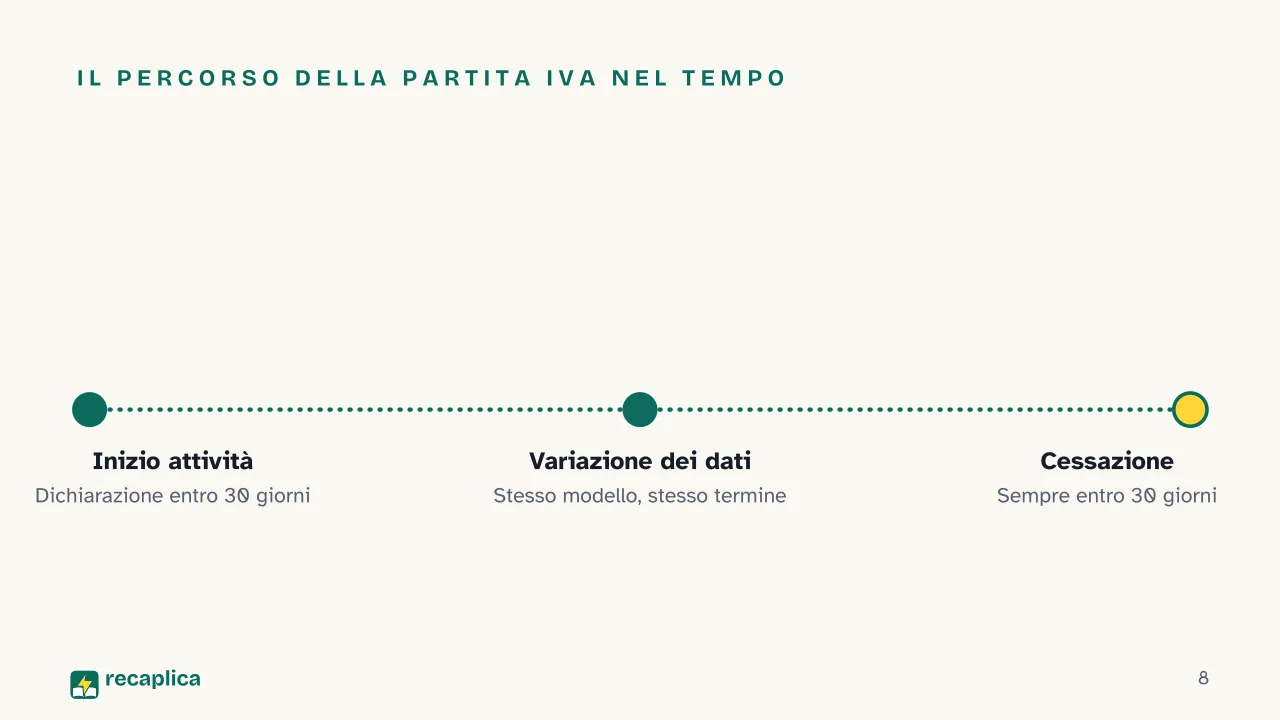 Slide 8 della presentazione su Partita IVA: Il percorso della partita IVA nel tempo