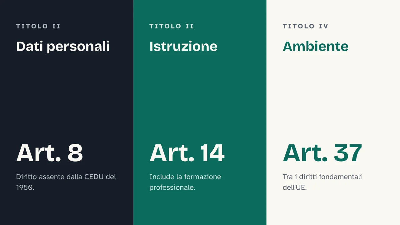 Slide 10 della presentazione su Carta dei diritti fondamentali dell'Unione Europea (Carta di Nizza): Dati personali · Istruzione · Ambiente