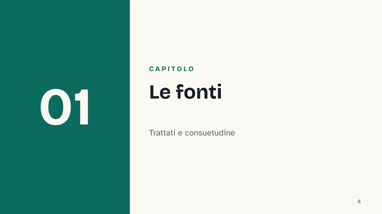 Slide 4 della presentazione su Diritto internazionale: Capitolo 01: Le fonti