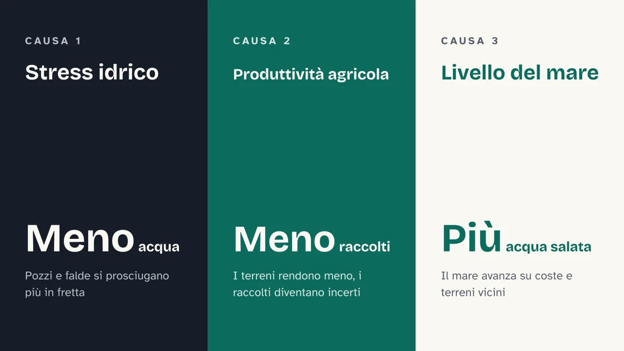Slide 7 della presentazione su Migrazioni climatiche: Stress idrico · Produttività agricola · Livello del mare