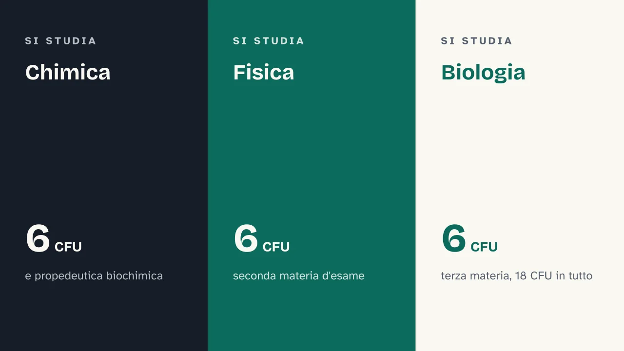 Slide 9 della presentazione su Test di Medicina: Chimica · Fisica · Biologia