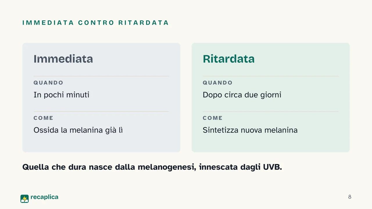 Slide 8 della presentazione su Abbronzatura: Immediata contro ritardata