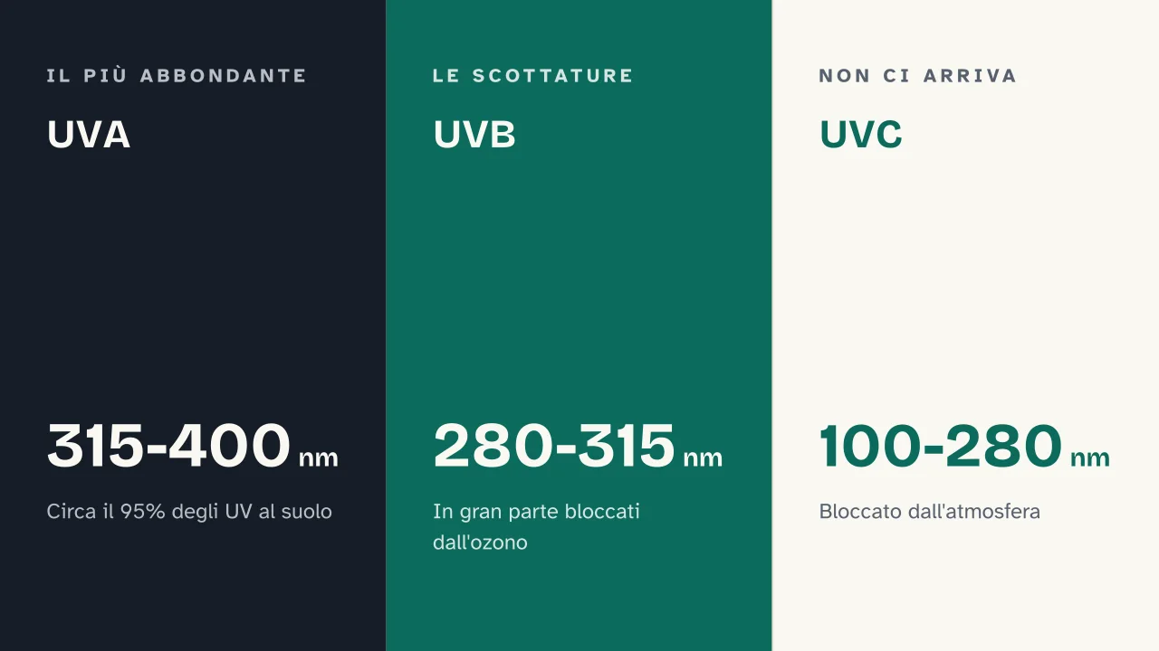 Slide 11 della presentazione su Abbronzatura: UVA · UVB · UVC