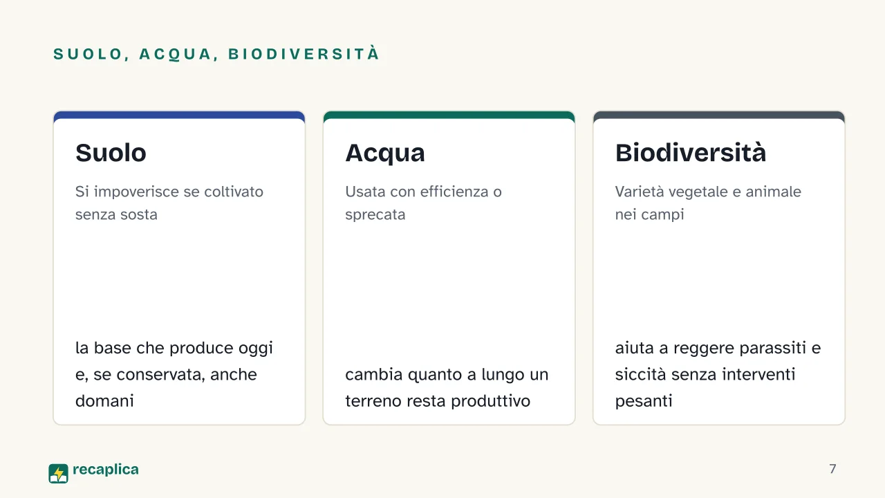 Slide 7 della presentazione su Agricoltura sostenibile: Suolo, acqua, biodiversità: Suolo, Acqua, Biodiversità