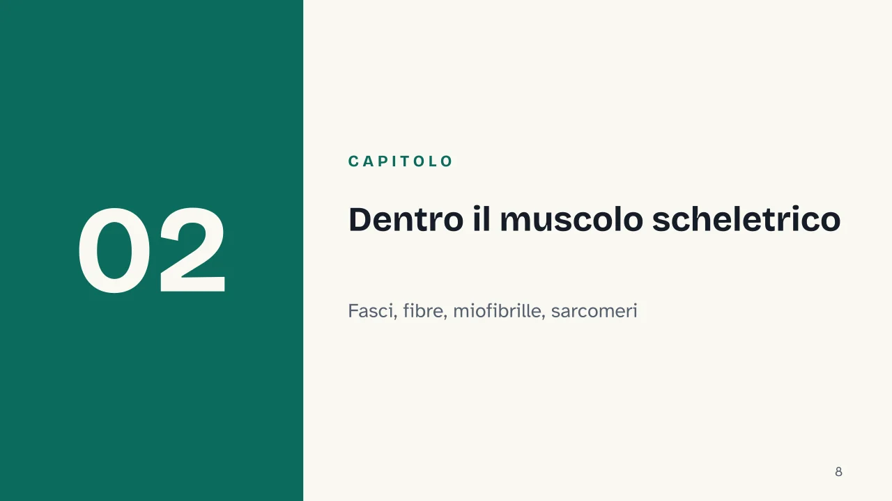 Slide 8 della presentazione su Apparato muscolare: Capitolo 02: Dentro il muscolo scheletrico