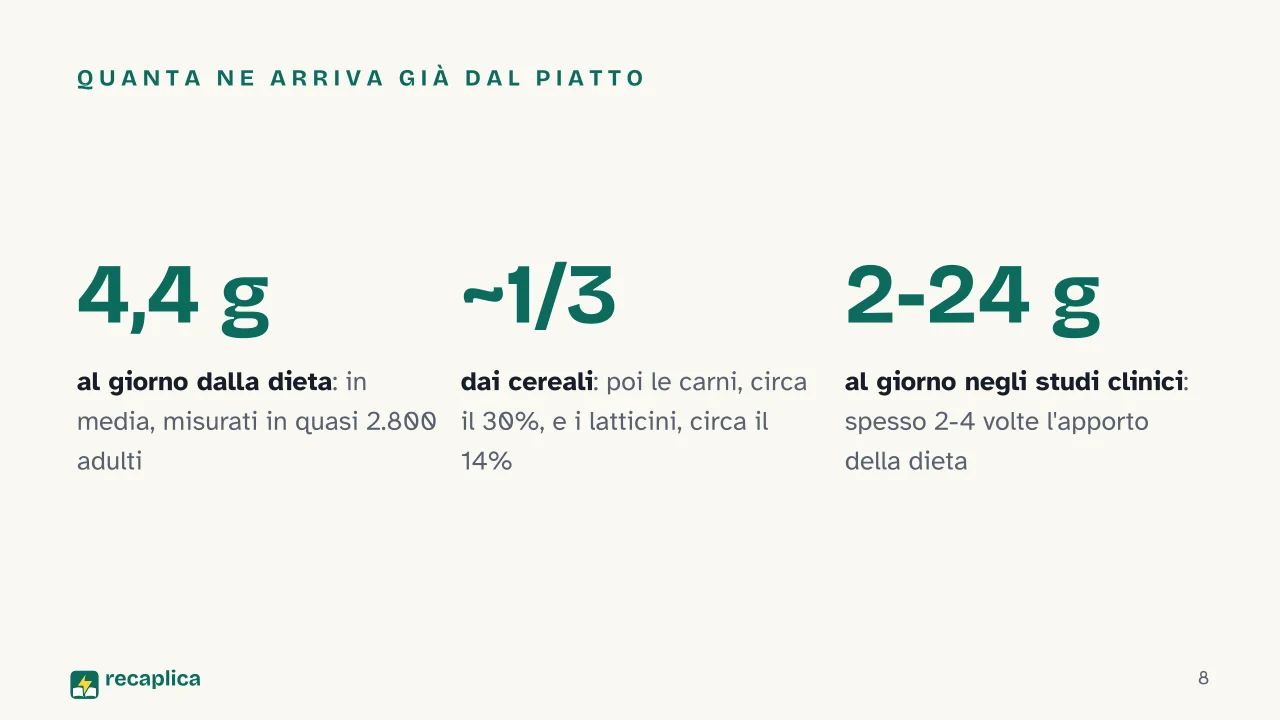 Slide 8 della presentazione su Arginina: Quanta ne arriva già dal piatto