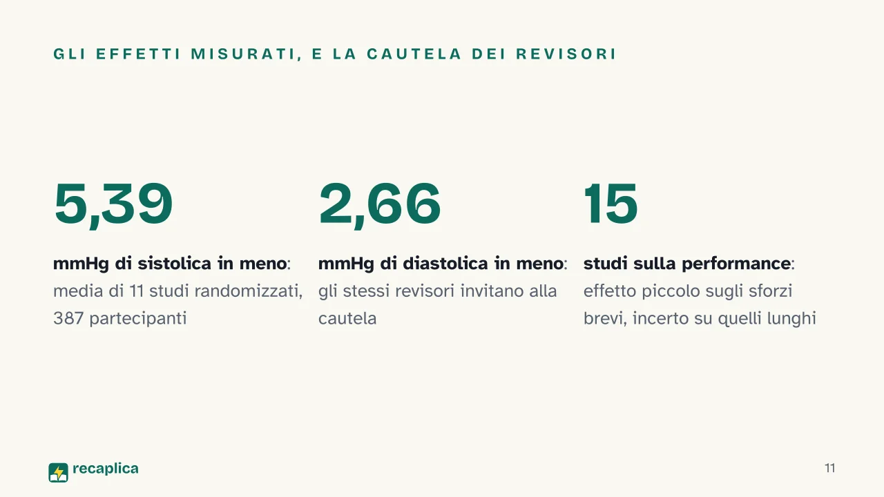 Slide 11 della presentazione su Arginina: Gli effetti misurati, e la cautela dei revisori