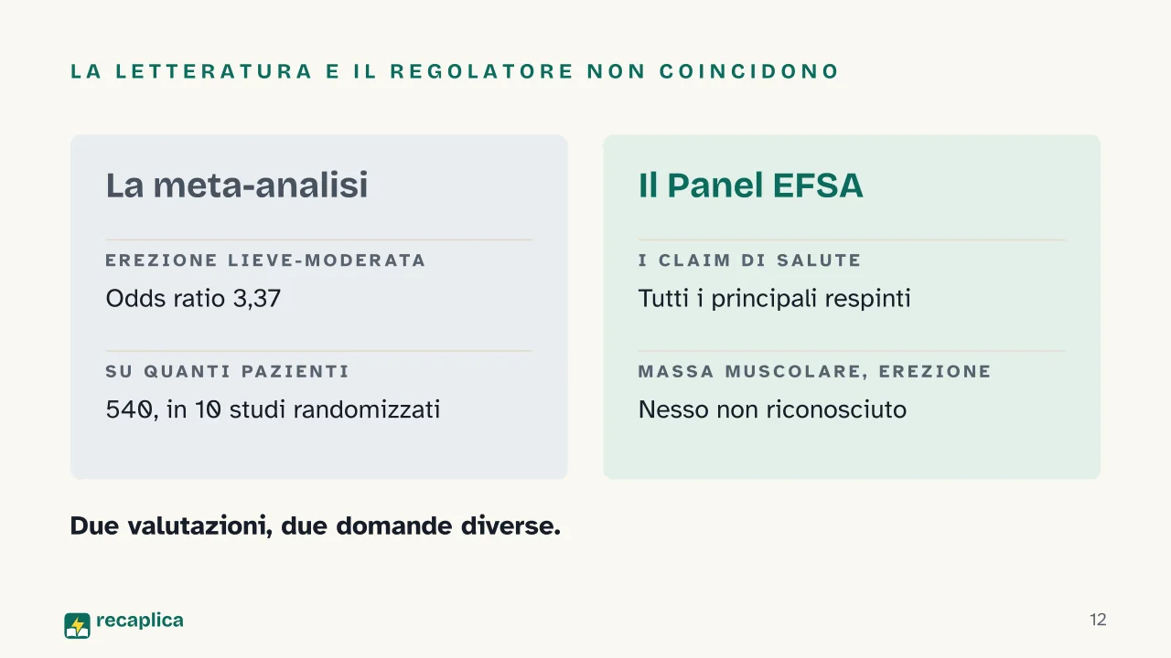 Slide 12 della presentazione su Arginina: La letteratura e il regolatore non coincidono