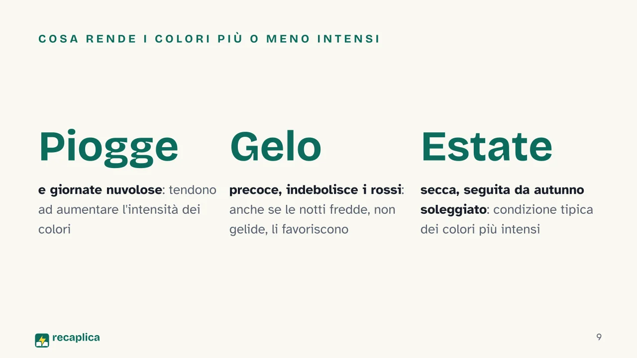 Slide 9 della presentazione su Autunno: Cosa rende i colori più o meno intensi