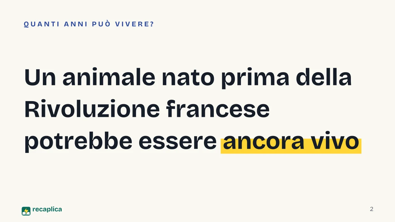 Slide 2 della presentazione su Balena della Groenlandia: Un animale nato prima della Rivoluzione francese potrebbe essere ancora vivo