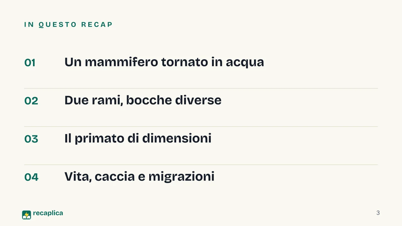Slide 3 della presentazione su Balena: In questo Recap