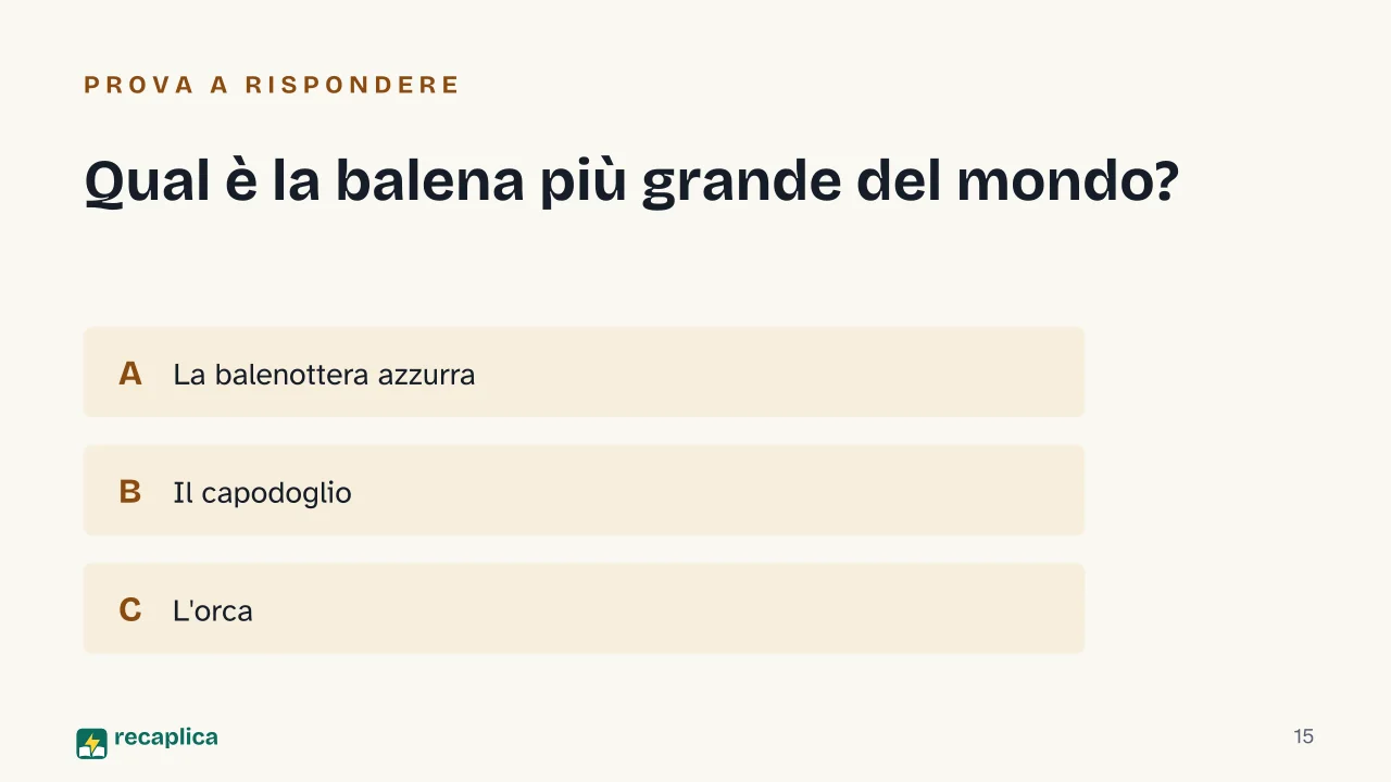 Slide 15 della presentazione su Balena: Qual è la balena più grande del mondo?