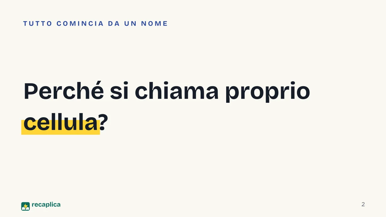 Slide 2 della presentazione su La cellula: Perché si chiama proprio cellula?