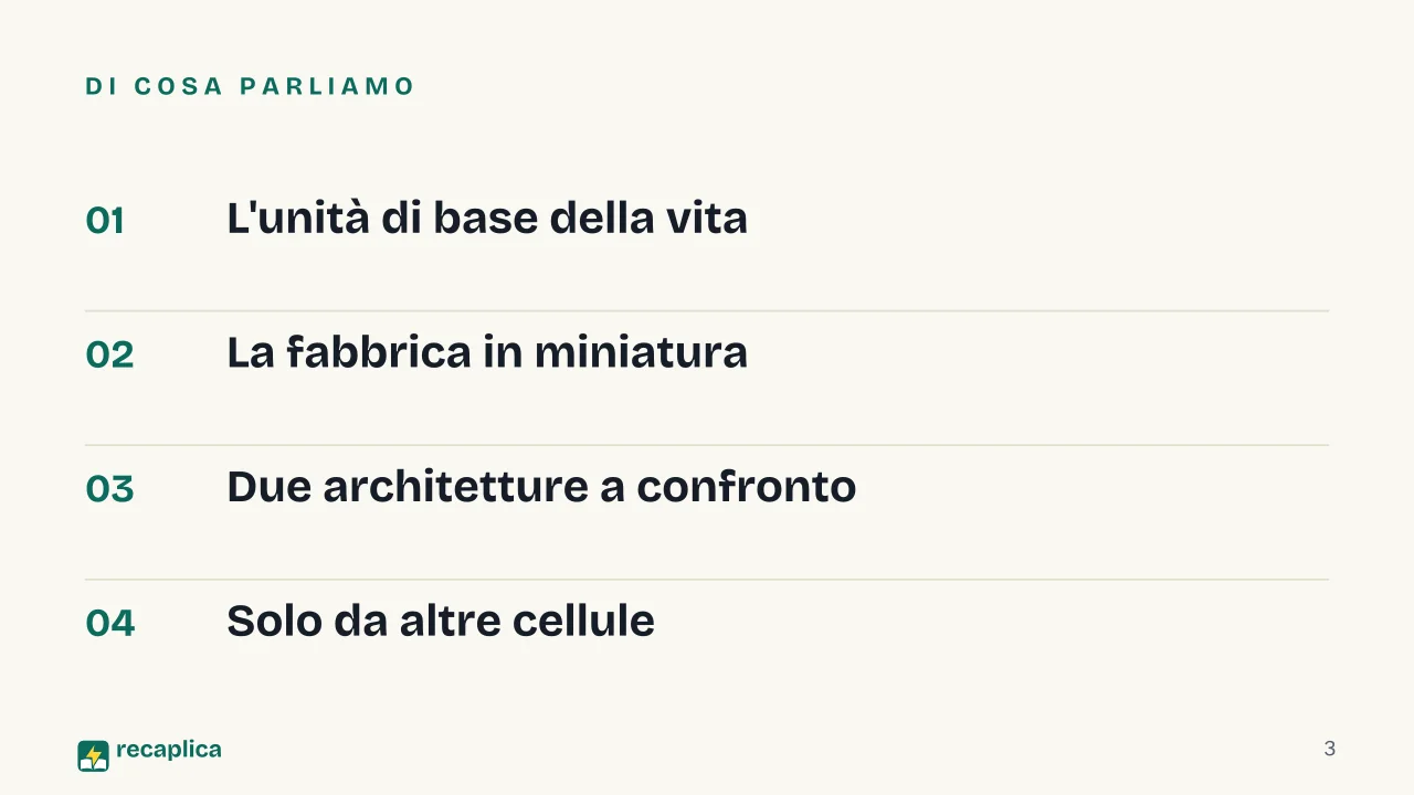 Slide 3 della presentazione su La cellula: Di cosa parliamo