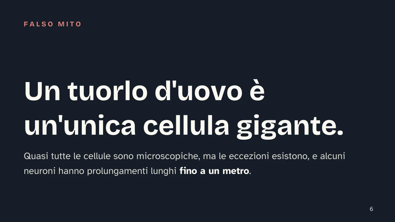 Slide 6 della presentazione su La cellula: Un tuorlo d'uovo è un'unica cellula gigante.