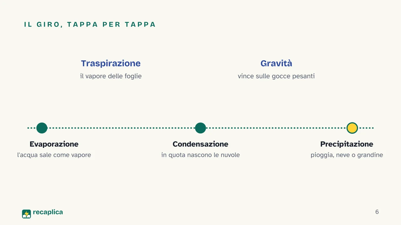 Slide 6 della presentazione su Ciclo dell'acqua: Il giro, tappa per tappa
