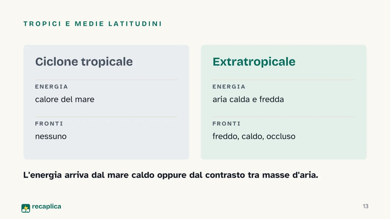 Slide 13 della presentazione su Ciclone: Tropici e medie latitudini