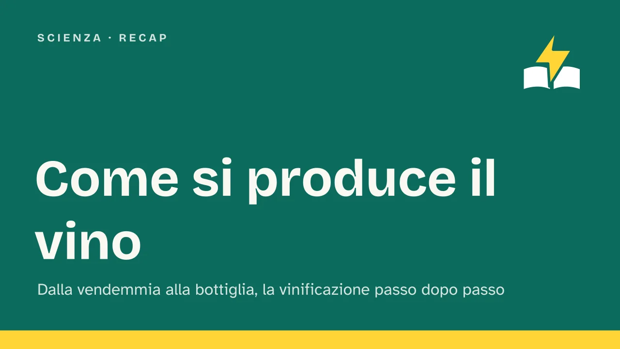 Slide 1 della presentazione su Come si produce il vino: Come si produce il vino