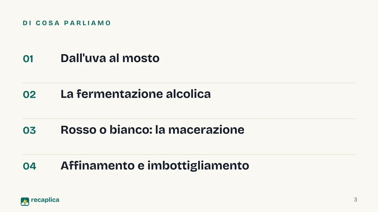 Slide 3 della presentazione su Come si produce il vino: Di cosa parliamo