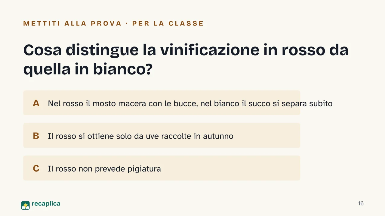 Slide 16 della presentazione su Come si produce il vino: Cosa distingue la vinificazione in rosso da quella in bianco?