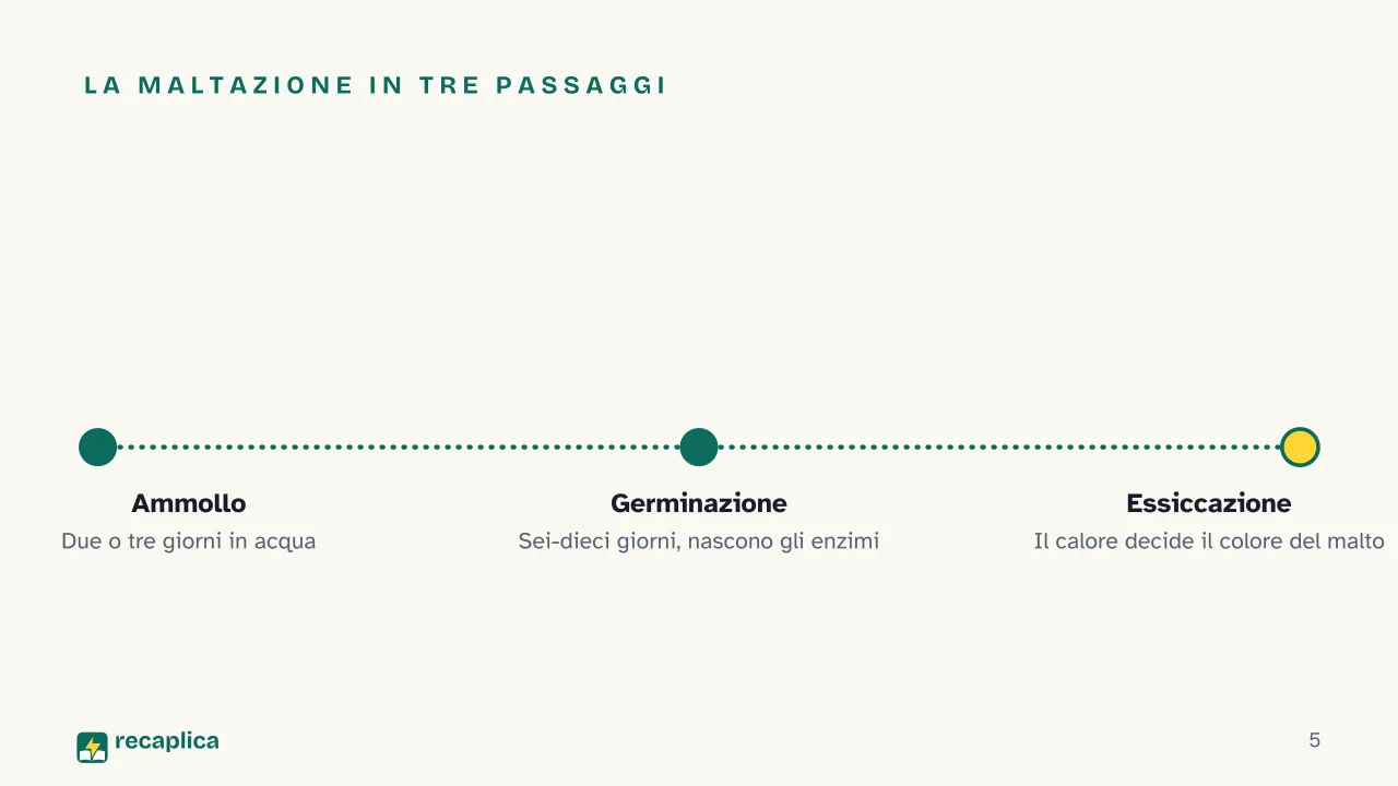 Slide 5 della presentazione su Come si produce la birra, dal malto alla fermentazione: La maltazione in tre passaggi
