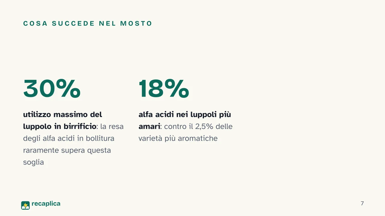 Slide 7 della presentazione su Come si produce la birra, dal malto alla fermentazione: Cosa succede nel mosto