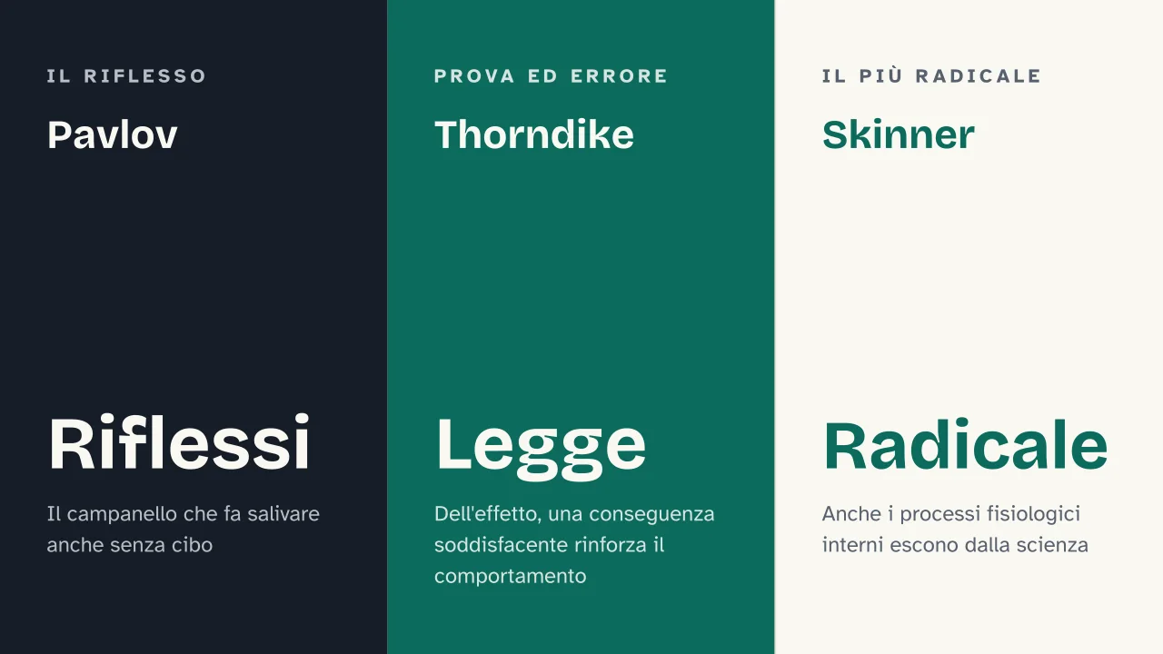 Slide 10 della presentazione su Comportamentismo: Pavlov · Thorndike · Skinner