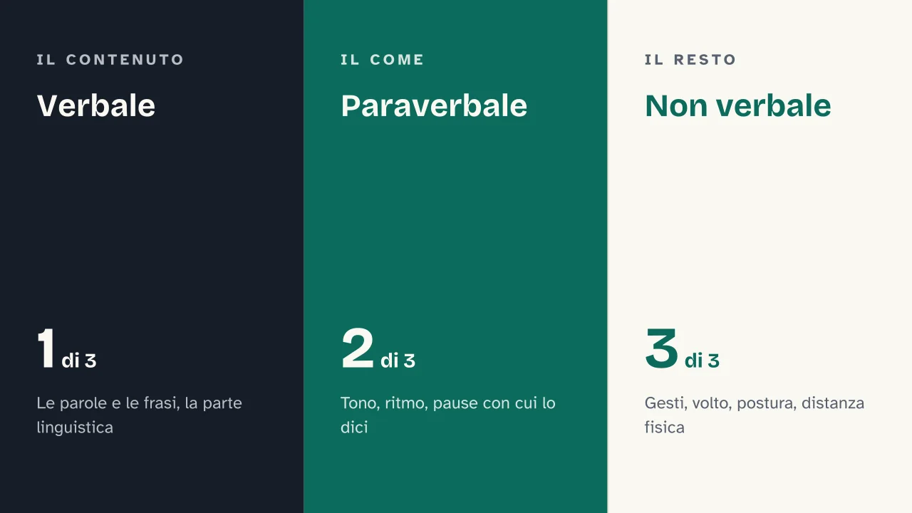 Slide 5 della presentazione su Comunicazione non verbale: Verbale · Paraverbale · Non verbale