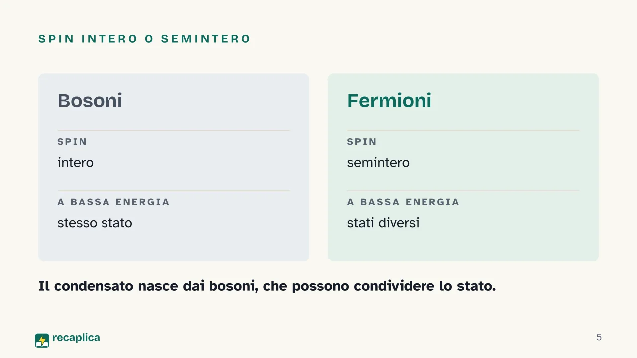 Slide 5 della presentazione su Condensato di Bose-Einstein: Spin intero o semintero