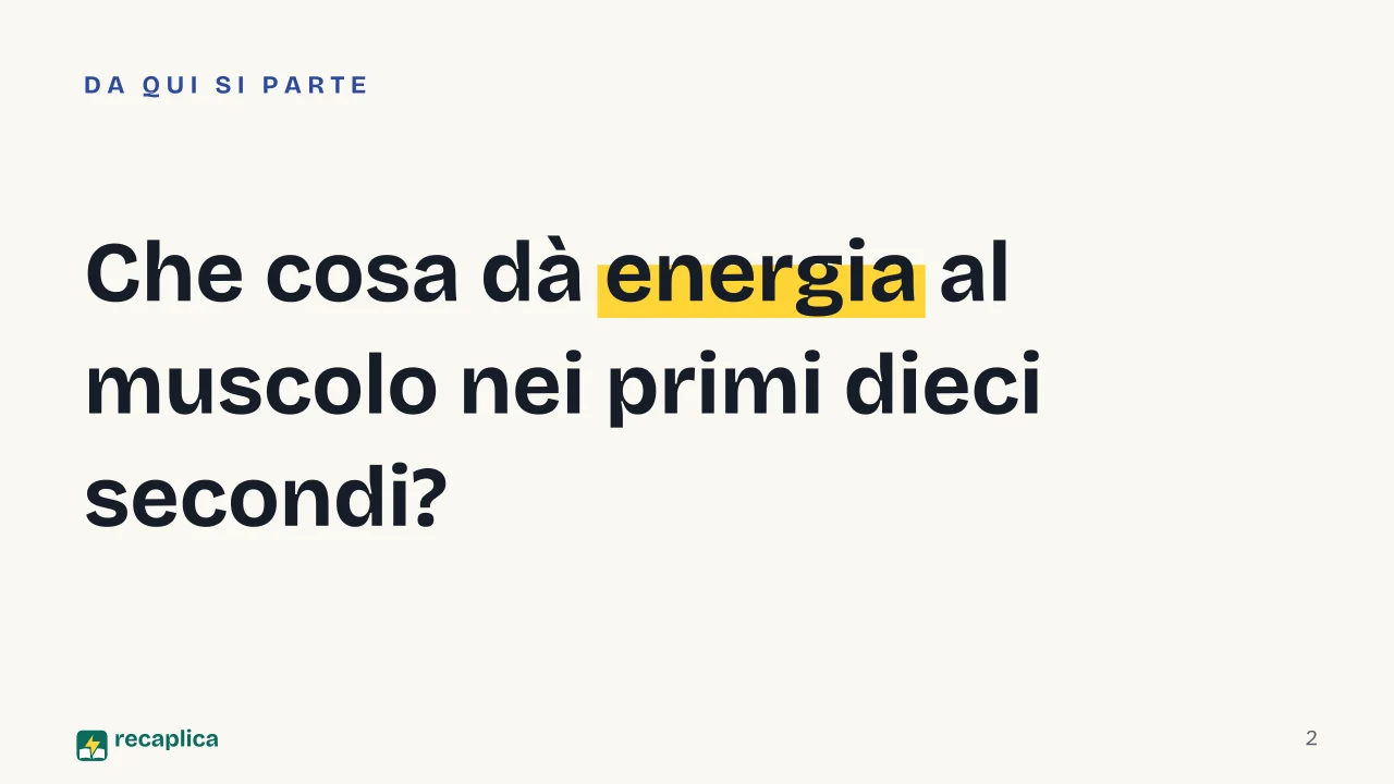 Slide 2 della presentazione su Creatina: Che cosa dà energia al muscolo nei primi dieci secondi?