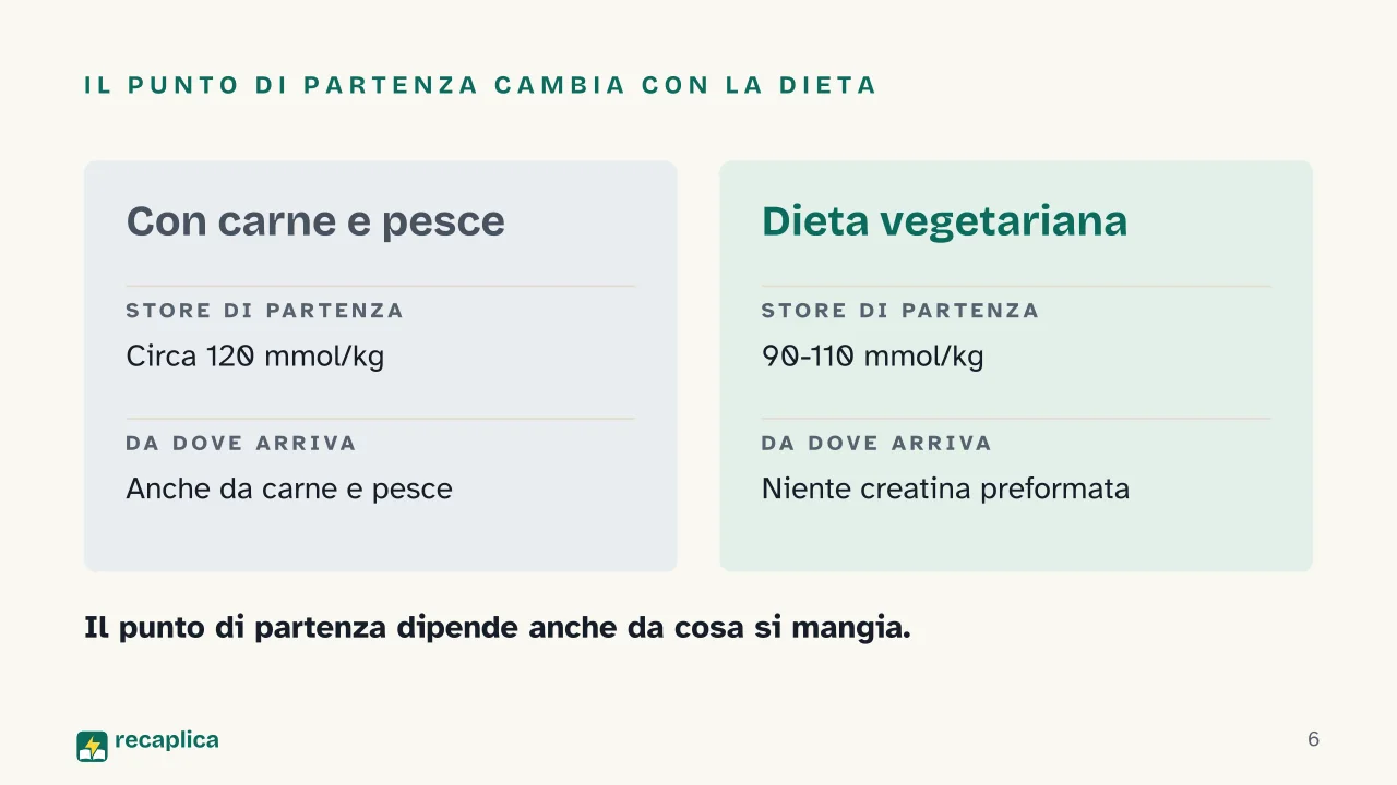 Slide 6 della presentazione su Creatina: Il punto di partenza cambia con la dieta