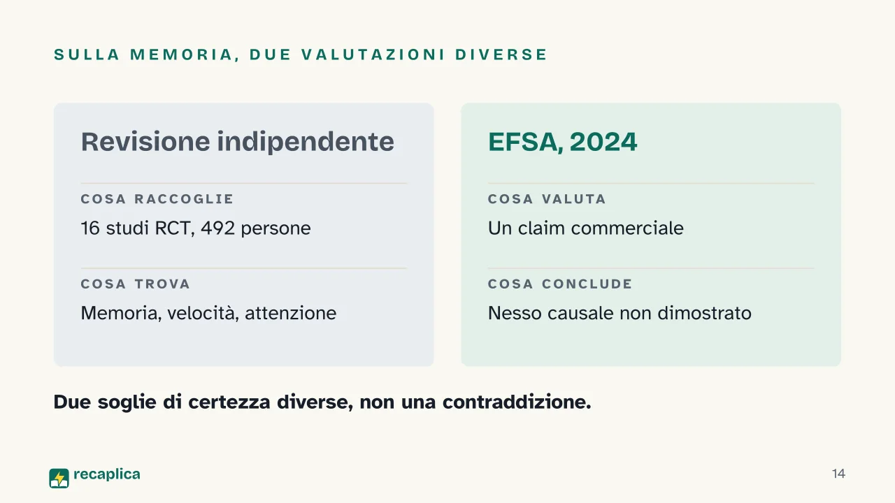 Slide 14 della presentazione su Creatina: Sulla memoria, due valutazioni diverse