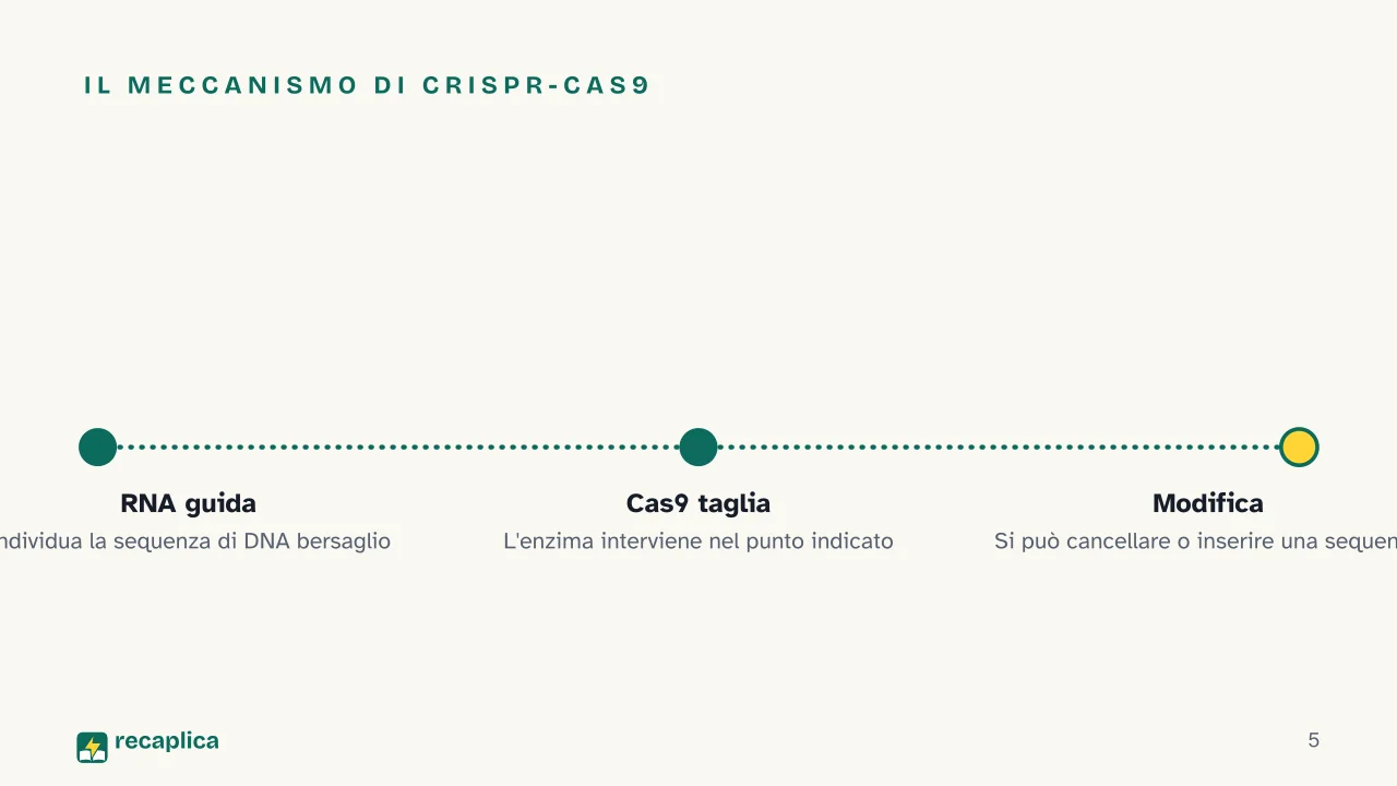 Slide 5 della presentazione su CRISPR: Il meccanismo di CRISPR-Cas9