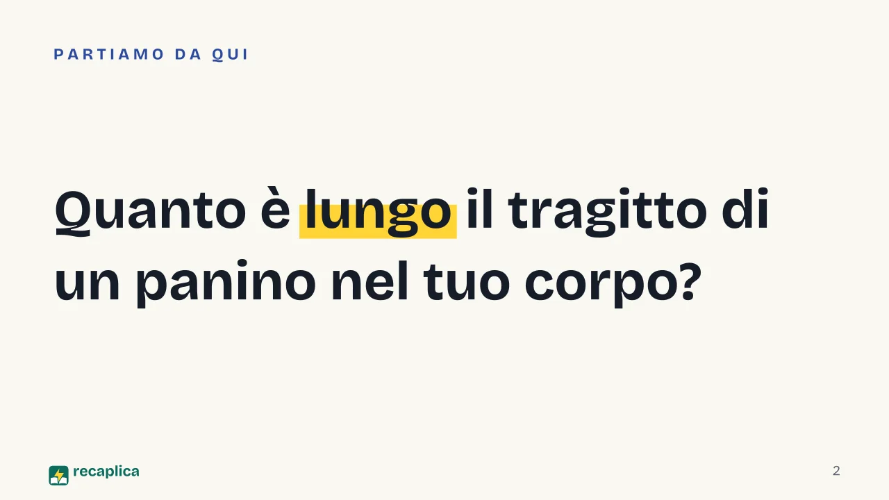 Slide 2 della presentazione su Digestione: Quanto è lungo il tragitto di un panino nel tuo corpo?