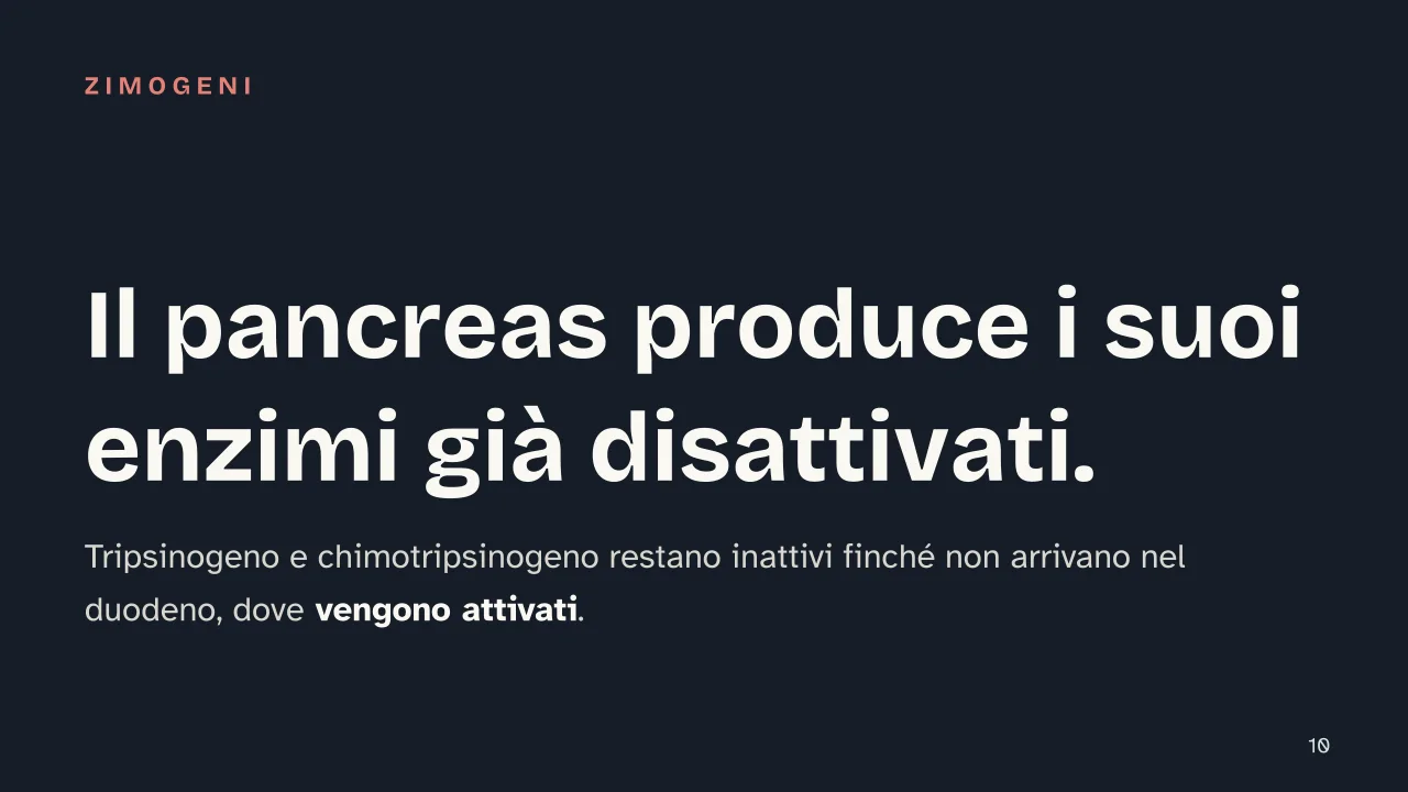 Slide 10 della presentazione su Digestione: Il pancreas produce i suoi enzimi già disattivati.