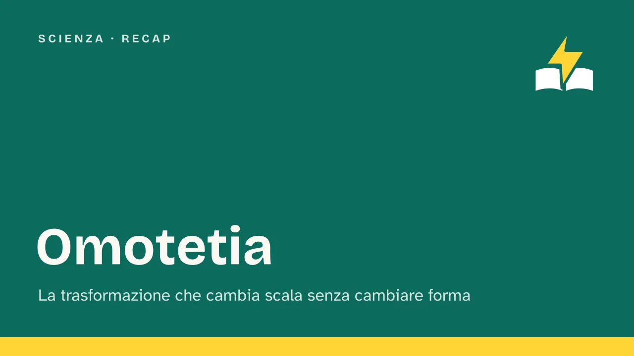 Slide 1 della presentazione su Omotetia: Omotetia