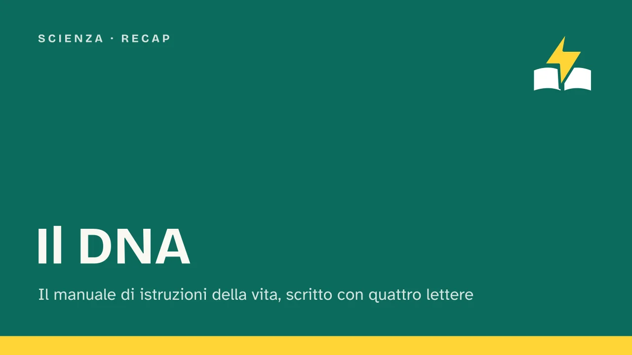 Slide 1 della presentazione su Il DNA: Il DNA