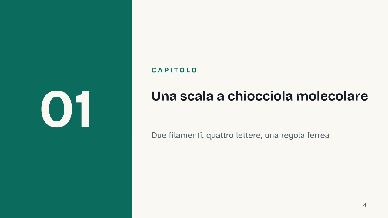 Slide 4 della presentazione su Il DNA: Capitolo 01: Una scala a chiocciola molecolare